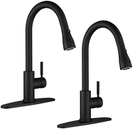 WEWE Single Handle High Arc Brushed Nickel Pull Out Kitchen Faucet,Single Level Stainless Steel Kitchen Sink Faucets with Pull Down Sprayer,Suitable for Laundry Rv Bar|B01H3OMH7Y